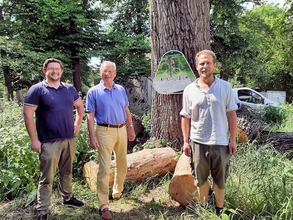 Drei Männer vor einem Baumstamm, an dem eine Infotafel hängt